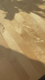 Video showing entire spring 2026 shop update.